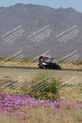 media/Feb-04-2023-SoCal Trackdays (Sat) [[8a776bf2c3]]/Turn 15 Inside Blooming (1050am)/